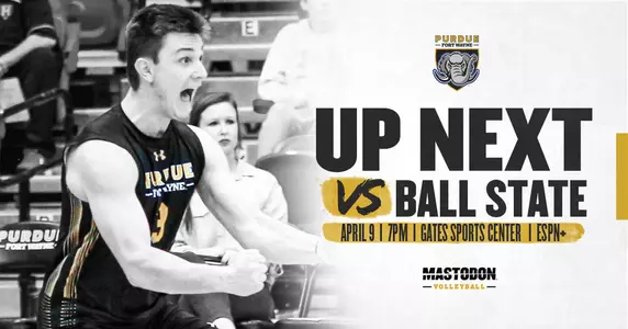 Web Preview vs Ball State