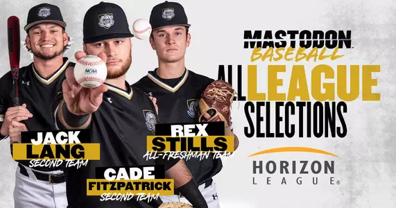 Baseball all-league
