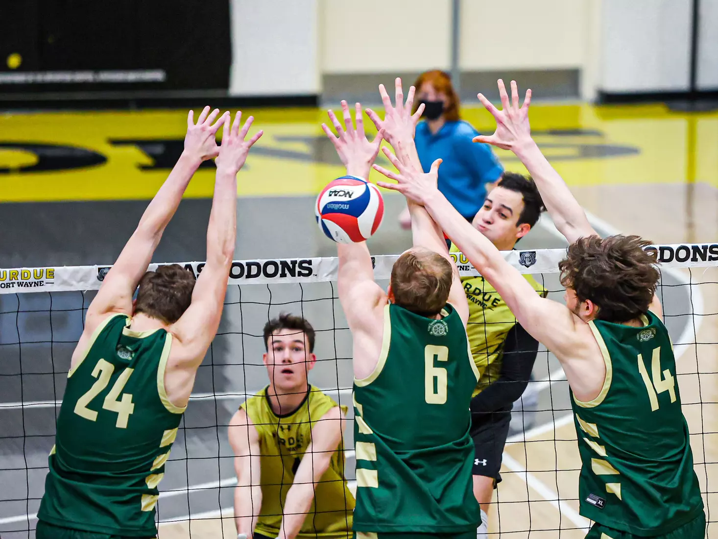 Mastodons vs. Missouri S&T