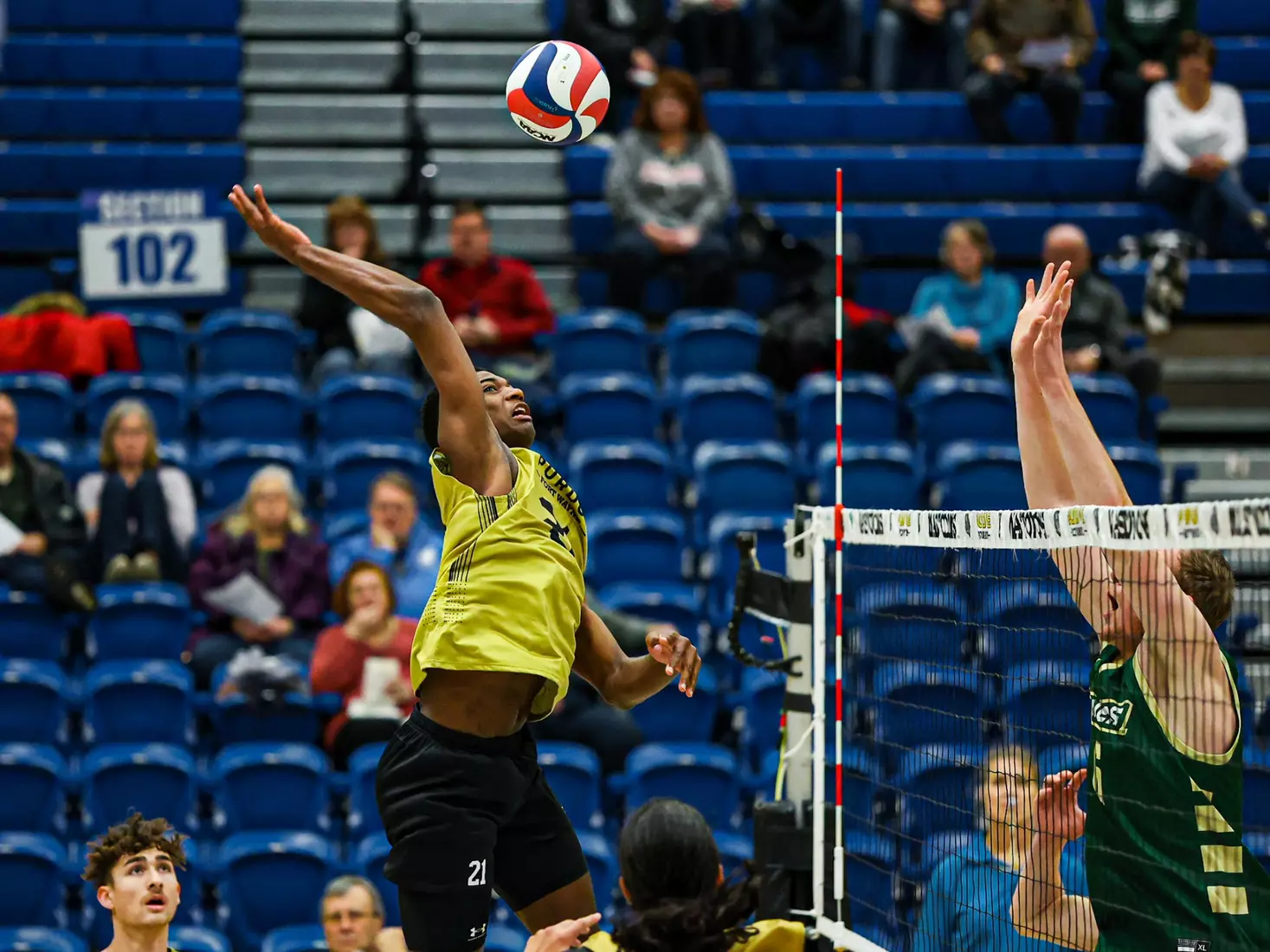 Mastodons vs. Missouri S&T