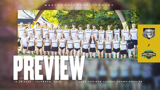 xc preview