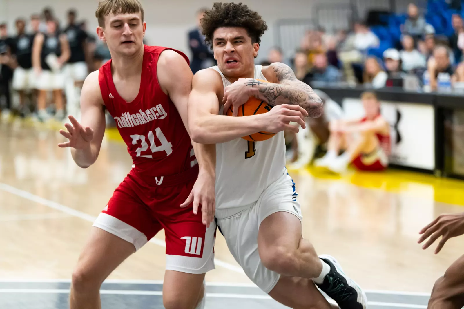 Mastodons vs. Tigers