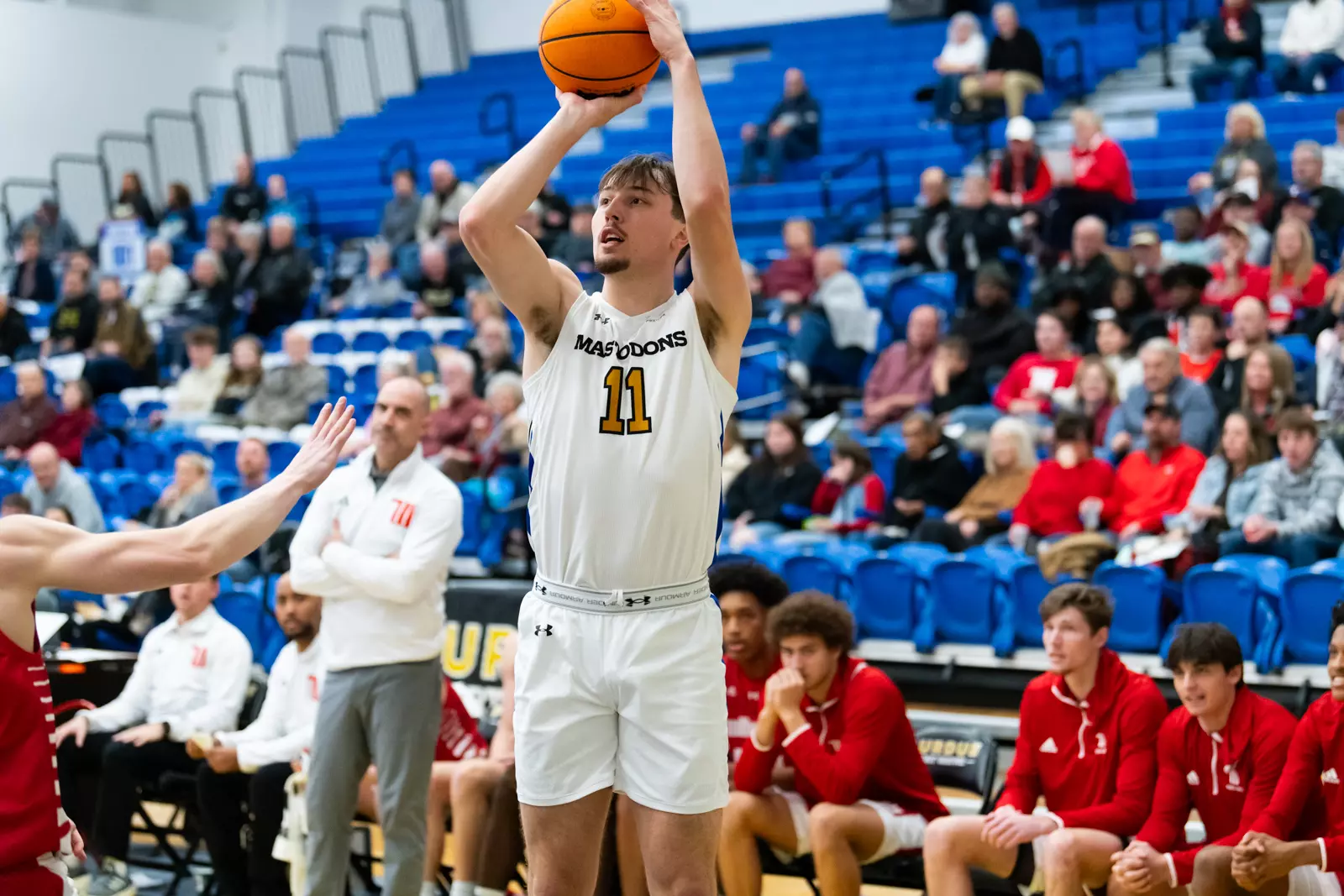 Mastodons vs. Tigers