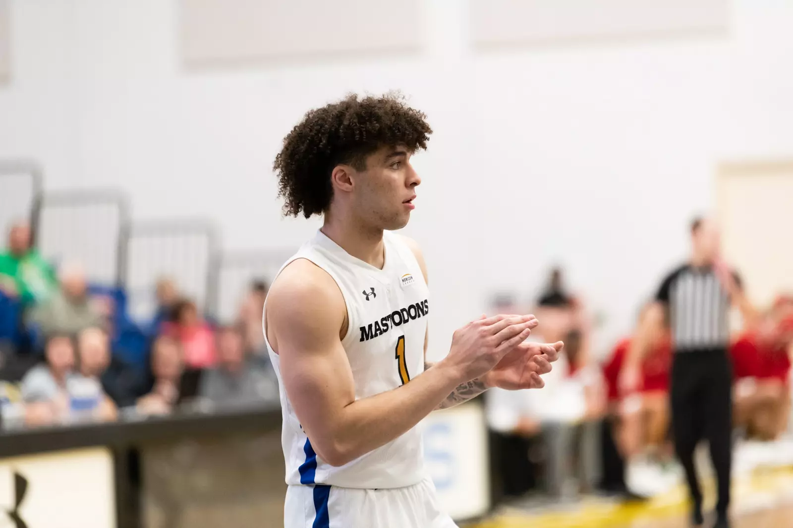 Mastodons vs. Tigers