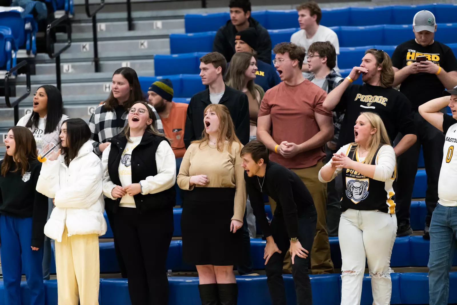 Mastodons vs. Tigers