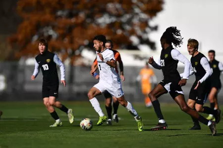Mastodons at Oakland