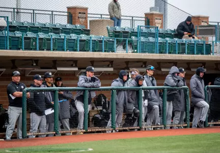 baseball at wsu