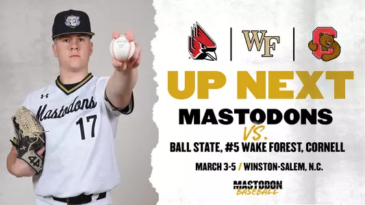 baseball preview