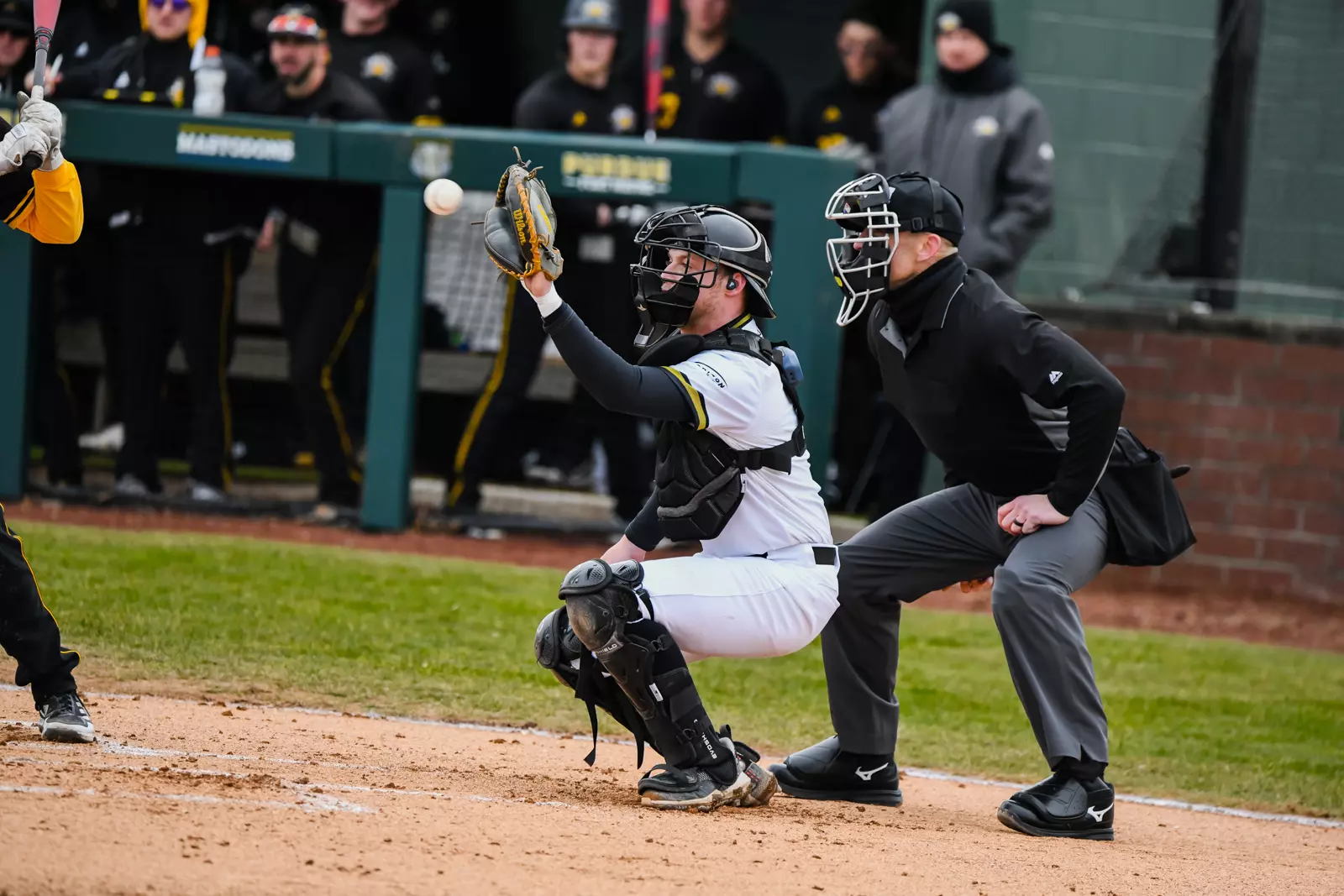 Mastodons vs. Northern Kentucky