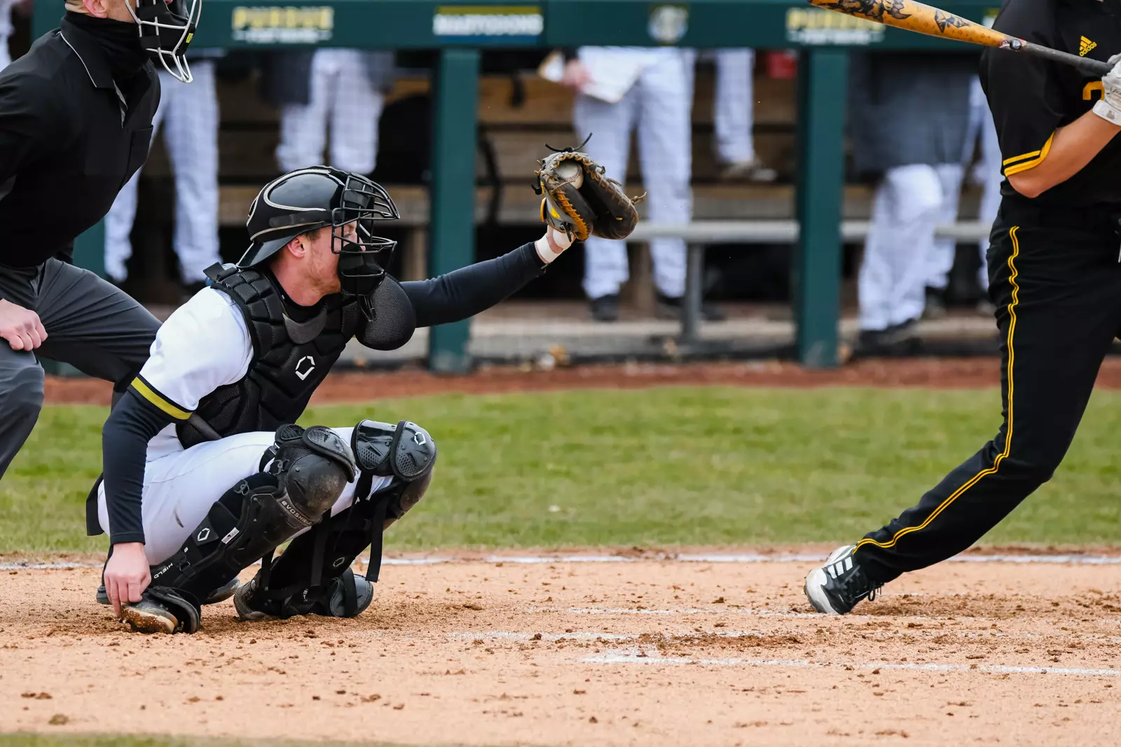 Mastodons vs. Northern Kentucky