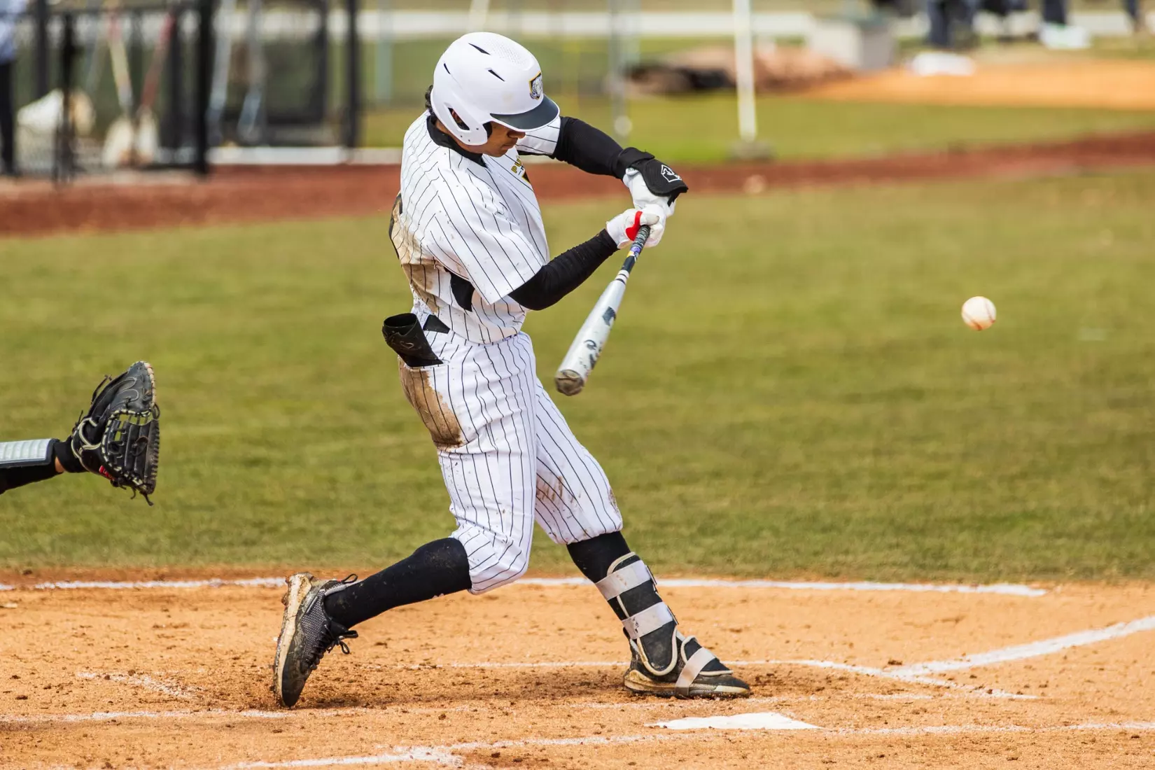 Mastodons vs. Northern Kentucky