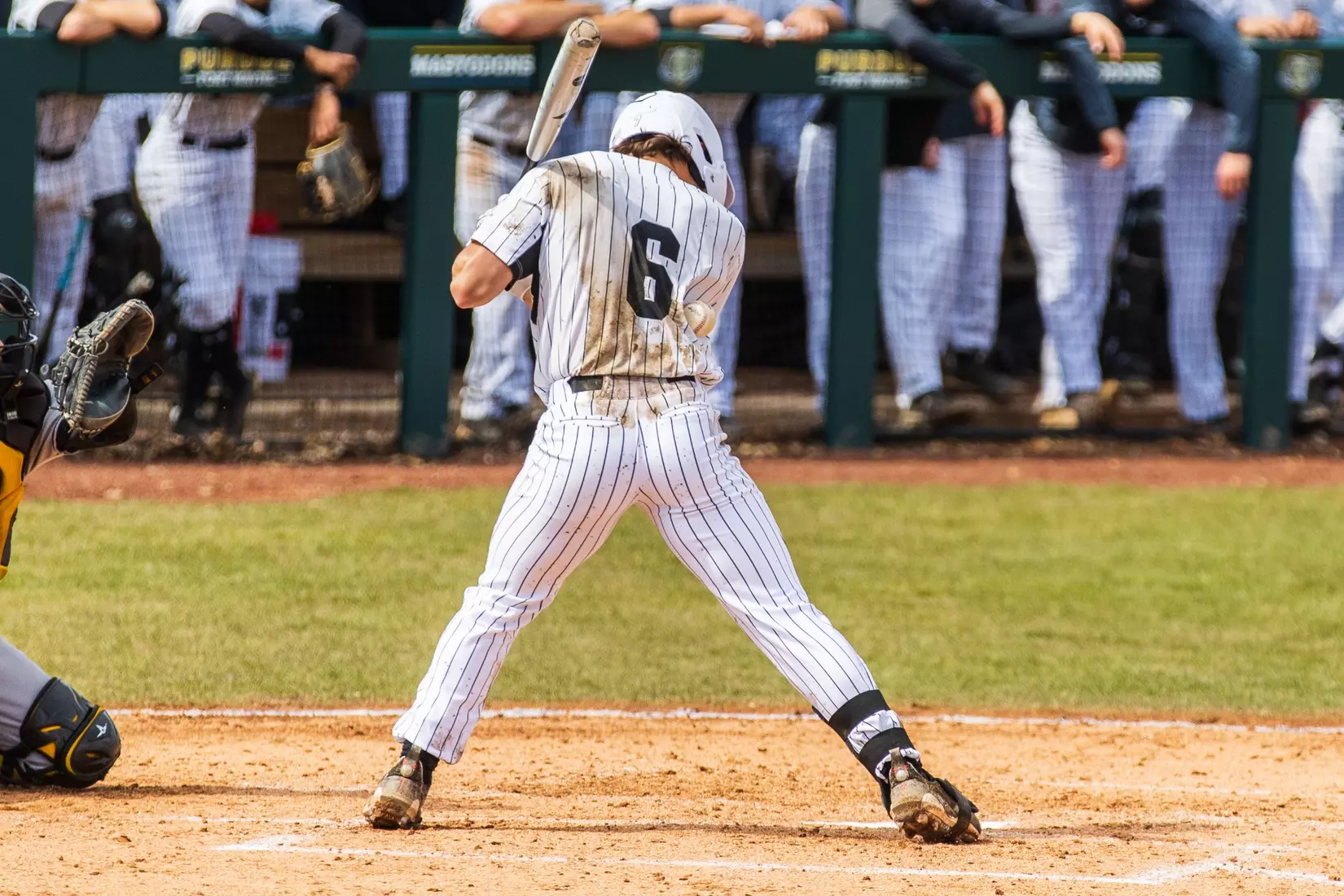 Mastodons vs. Northern Kentucky