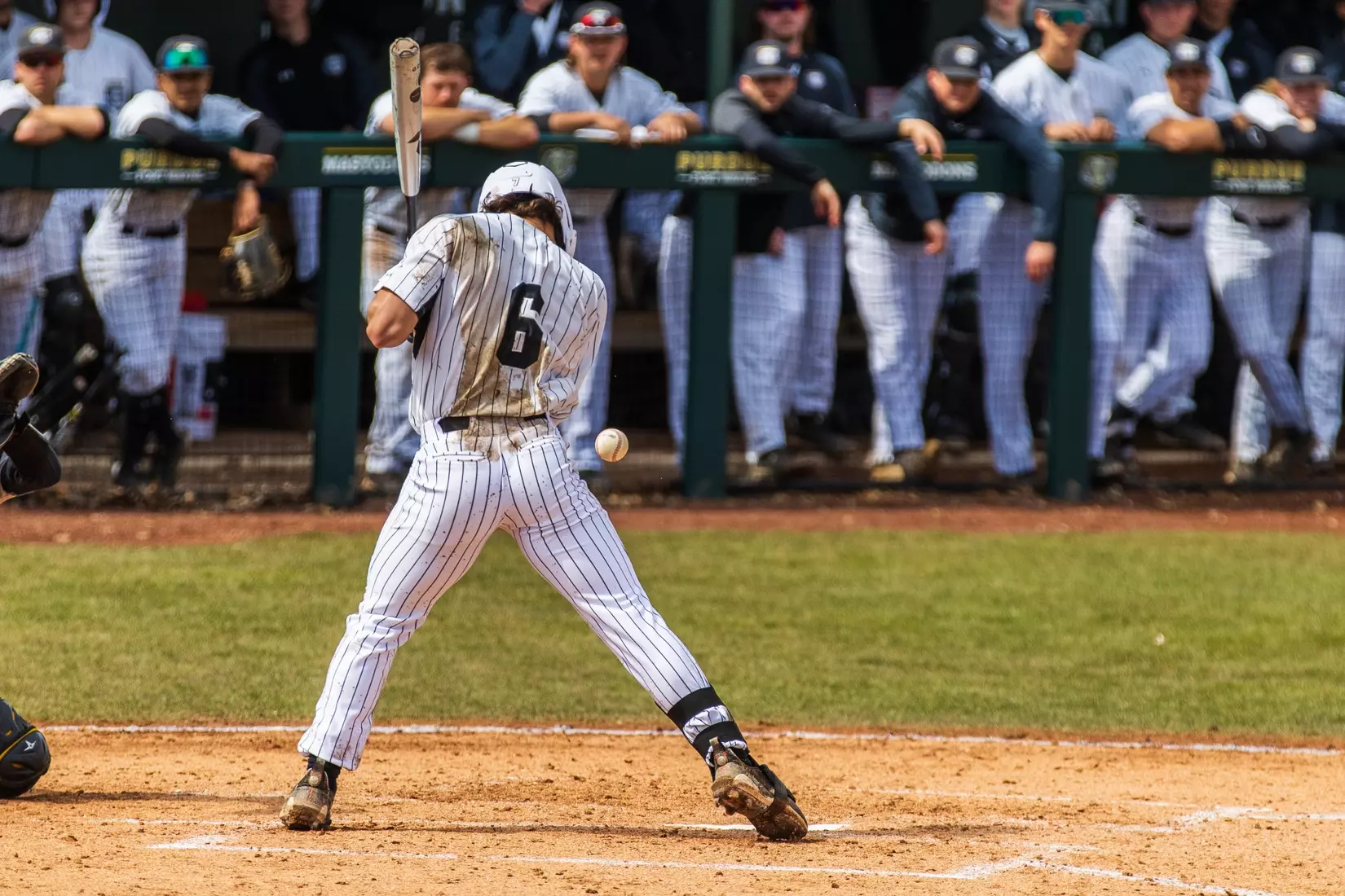 Mastodons vs. Northern Kentucky