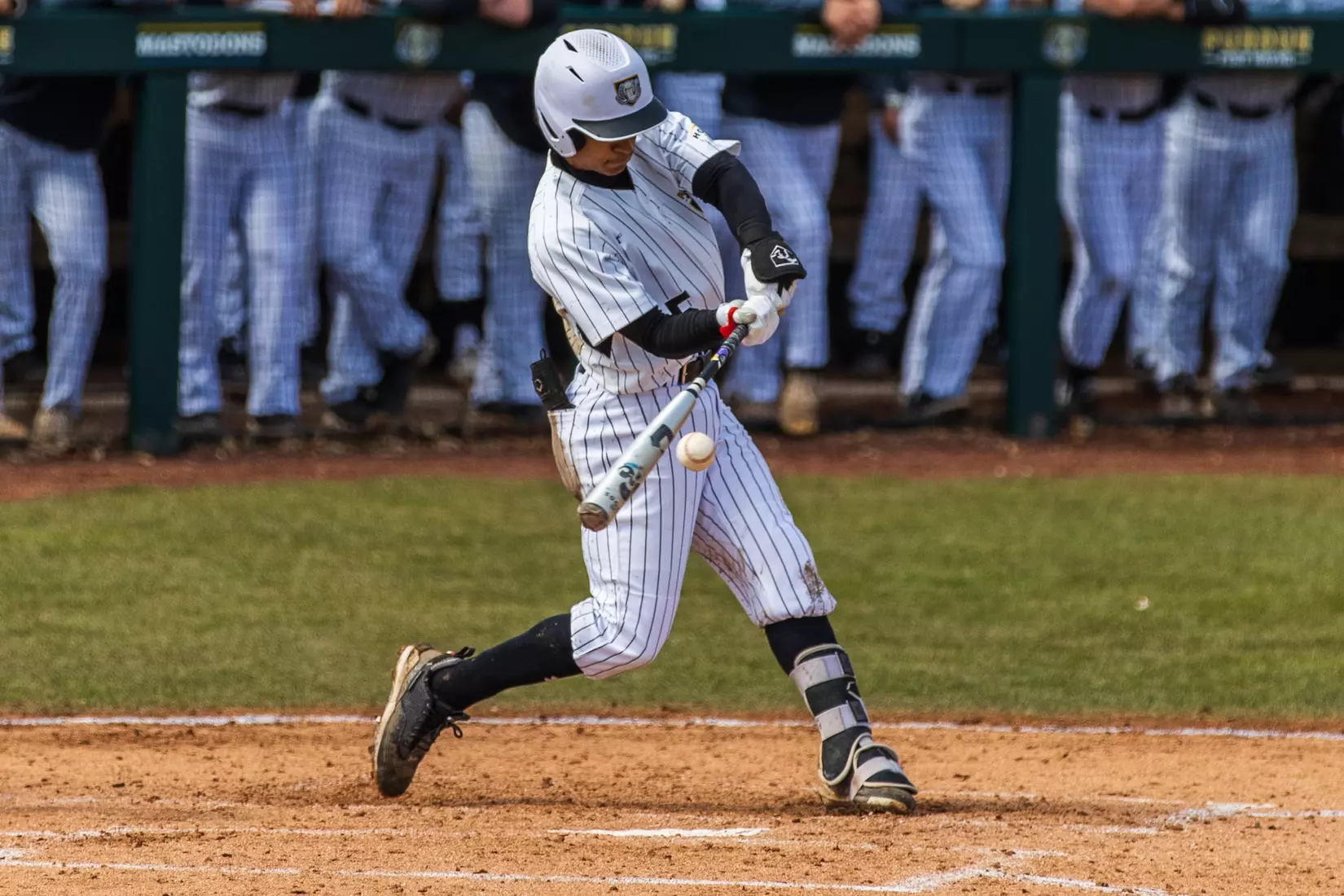 Mastodons vs. Northern Kentucky