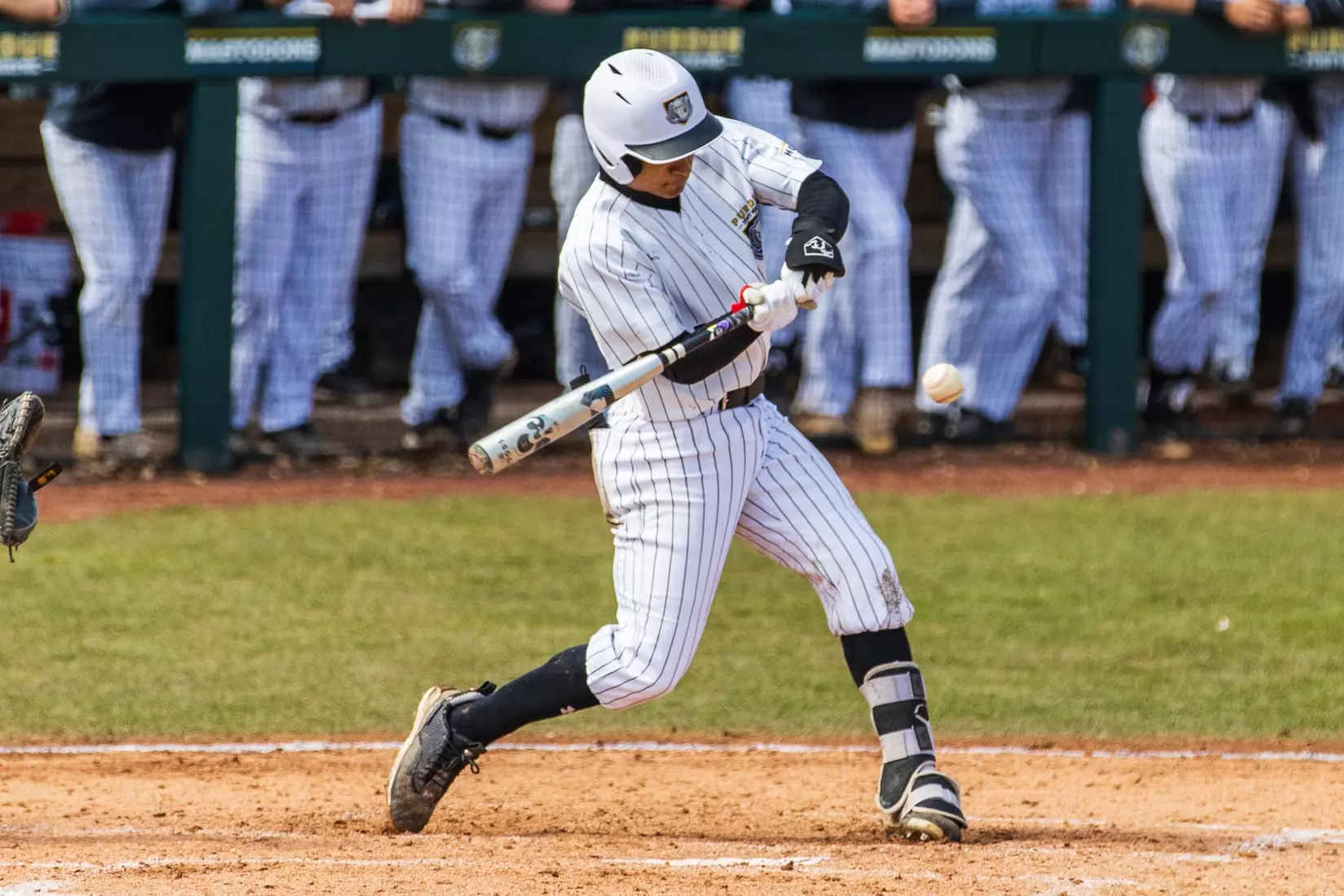 Mastodons vs. Northern Kentucky