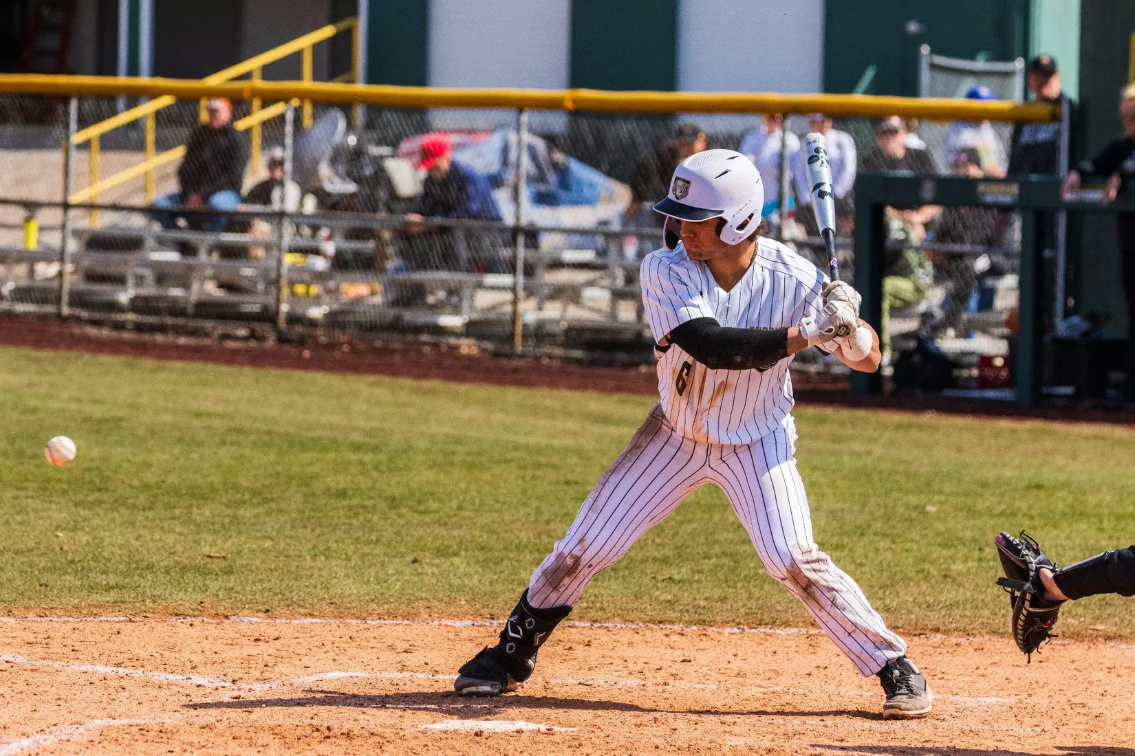 Mastodons vs. Northern Kentucky