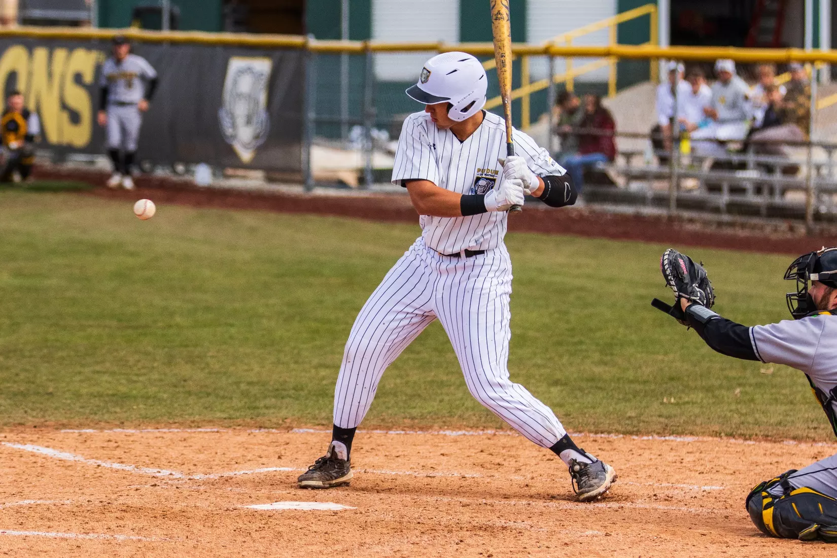 Mastodons vs. Northern Kentucky