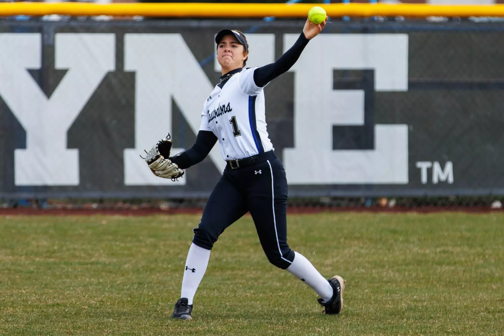 Mastodons vs. Beacons