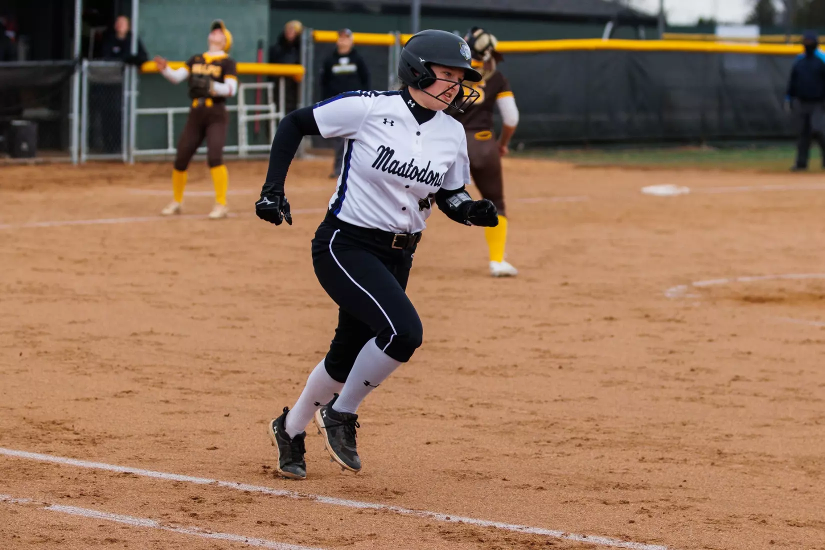 Mastodons vs. Beacons