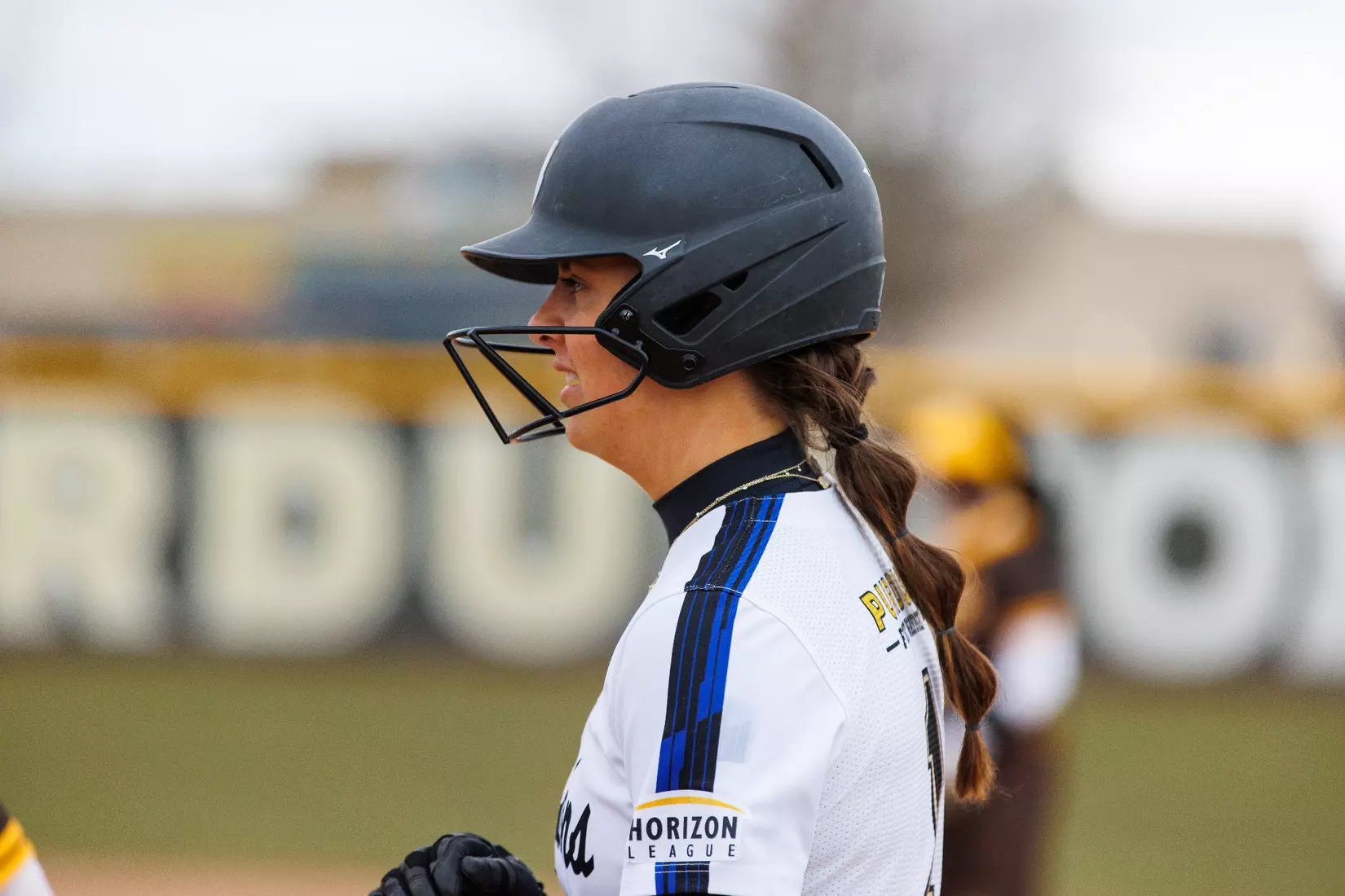 Mastodons vs. Beacons