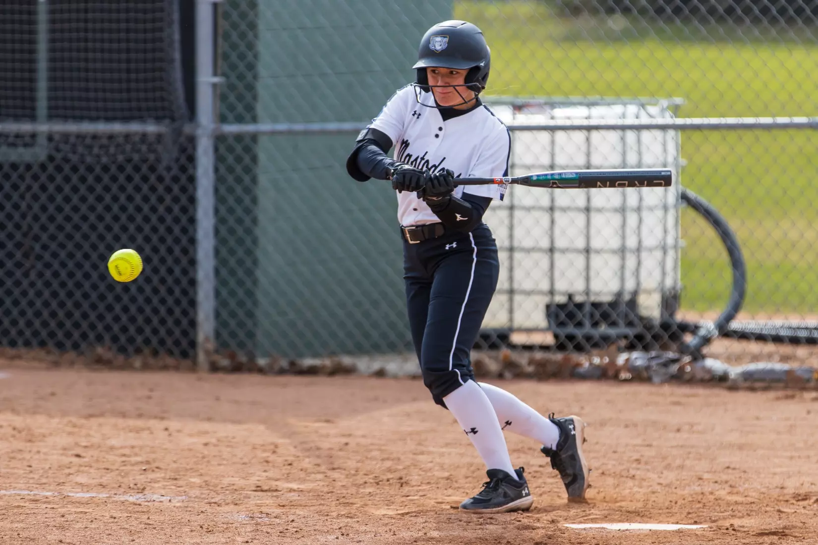 Mastodons vs. Beacons