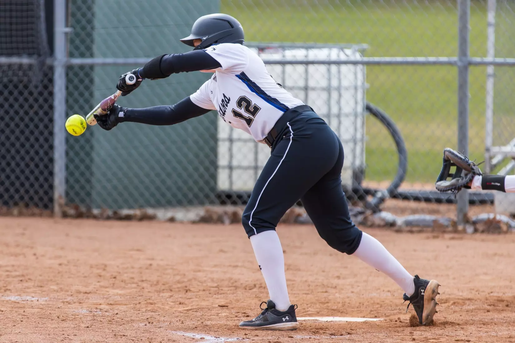 Mastodons vs. Beacons