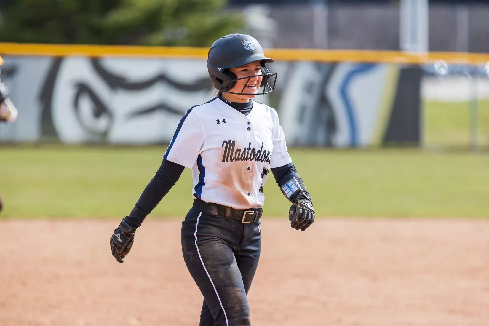 Mastodons vs. Beacons