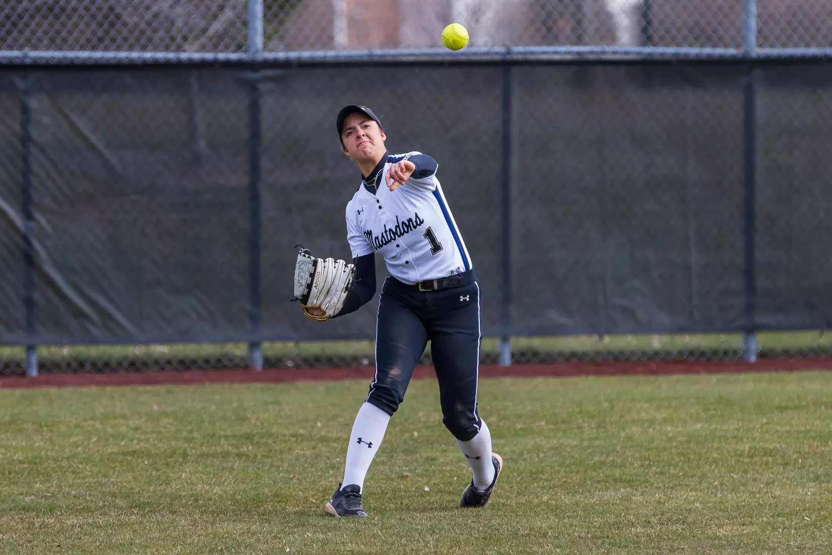 Mastodons vs. Beacons