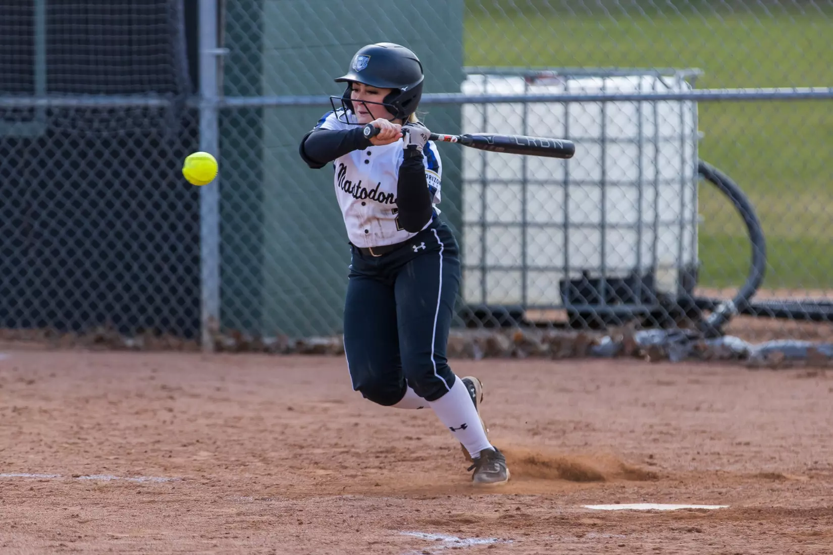 Mastodons vs. Beacons