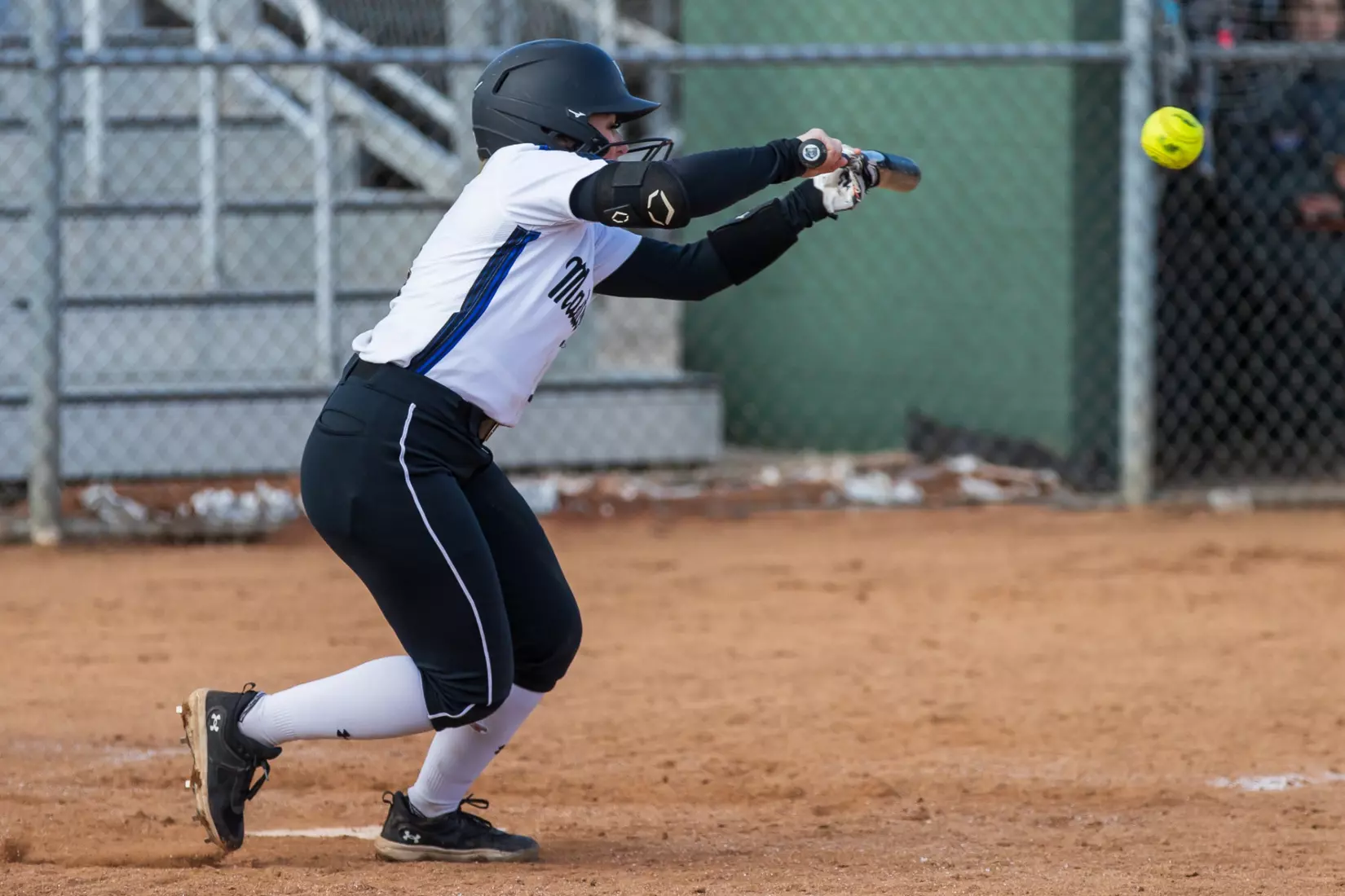 Mastodons vs. Beacons