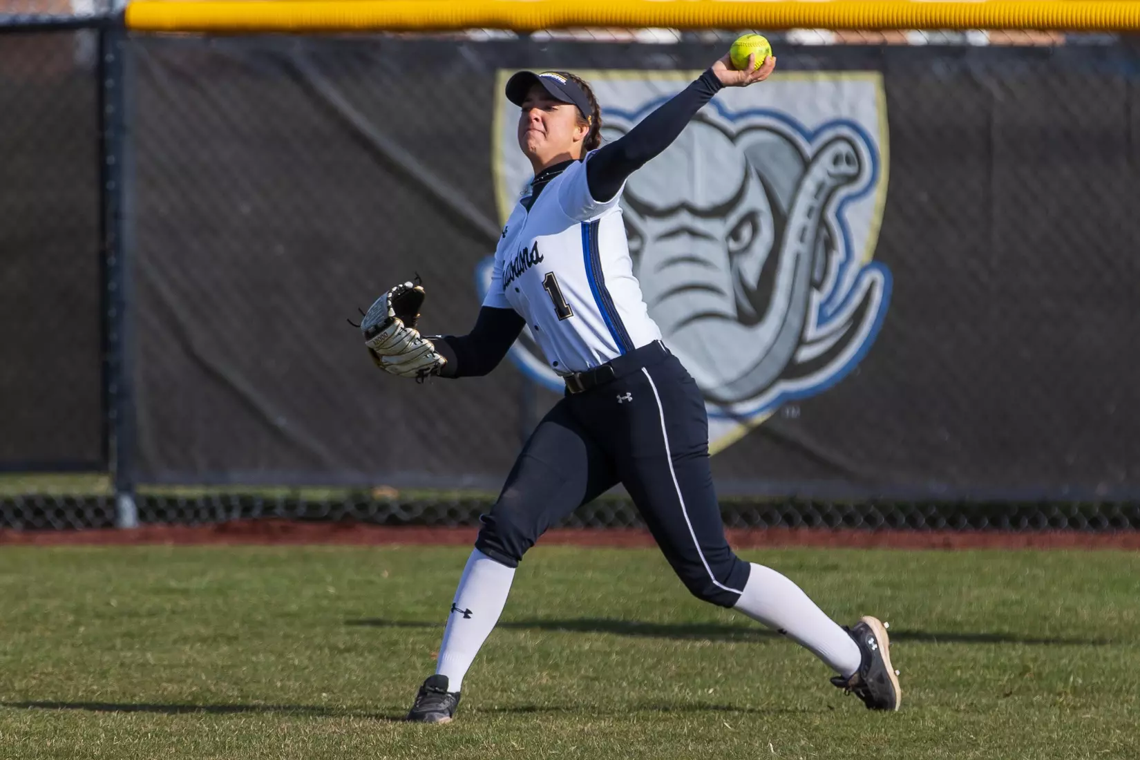 Mastodons vs. Beacons