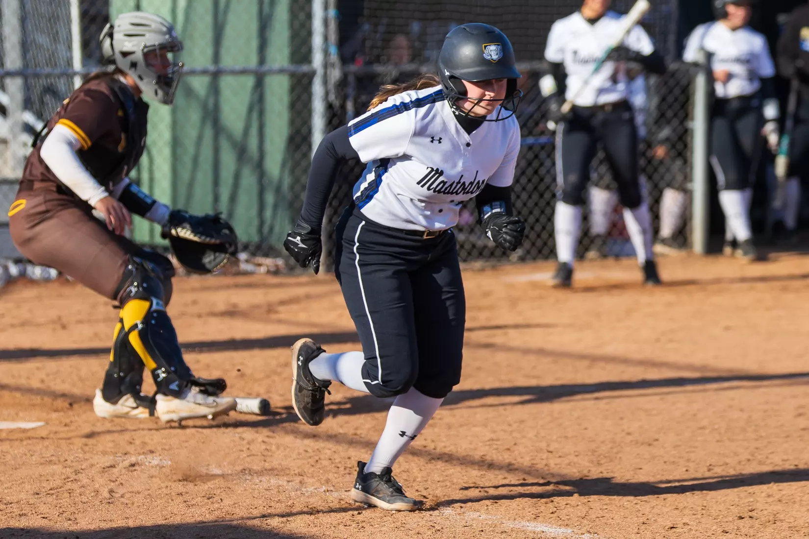 Mastodons vs. Beacons