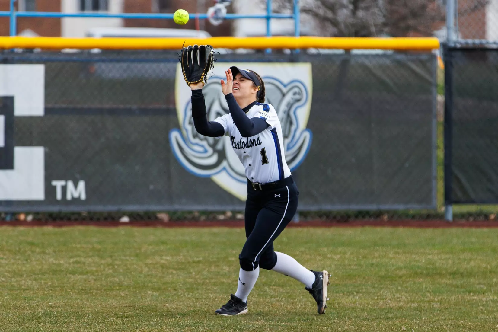 Mastodons vs. Beacons