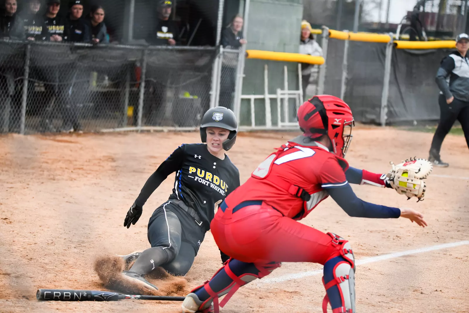 Mastodons vs. Titans