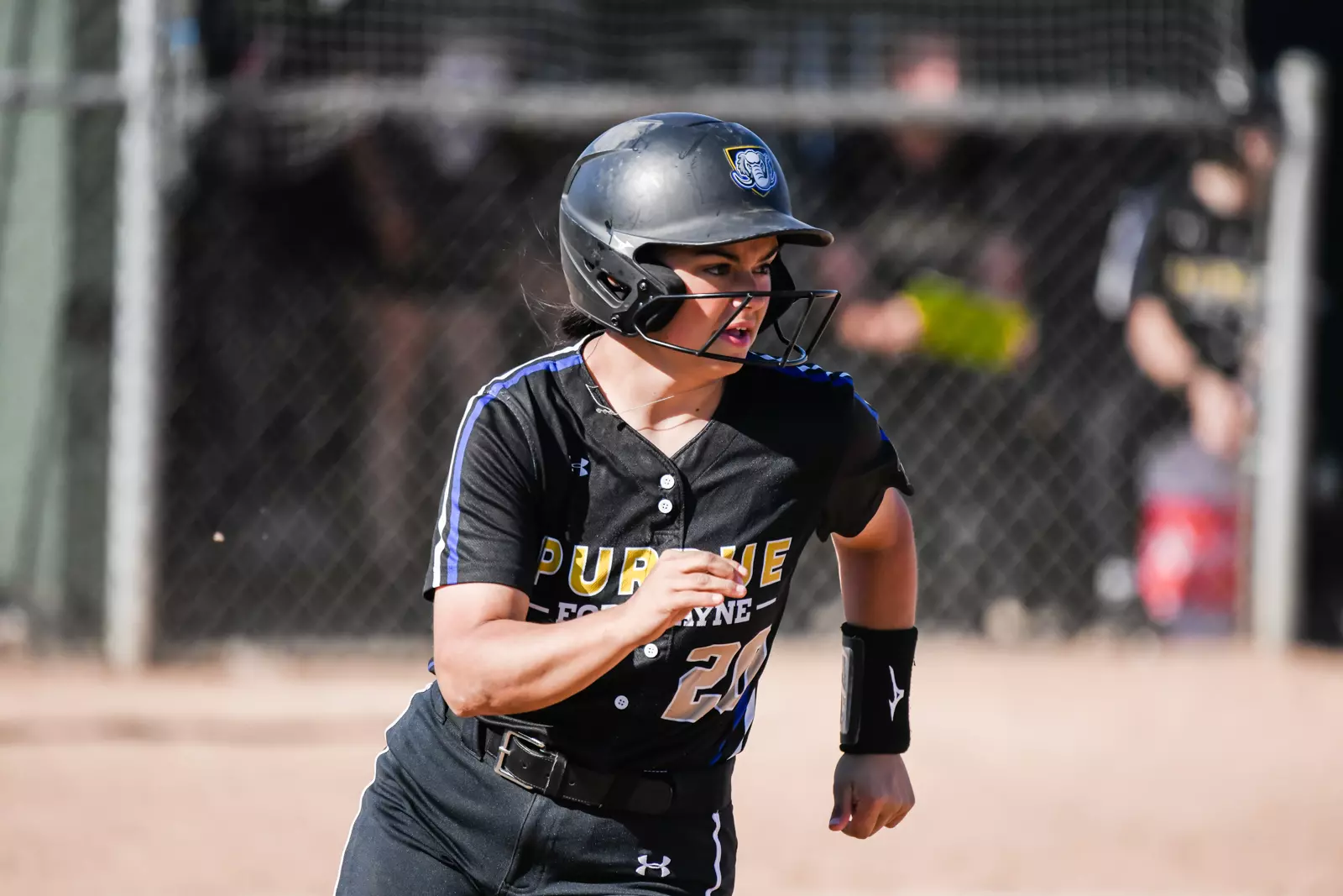 Mastodons vs. Vikings