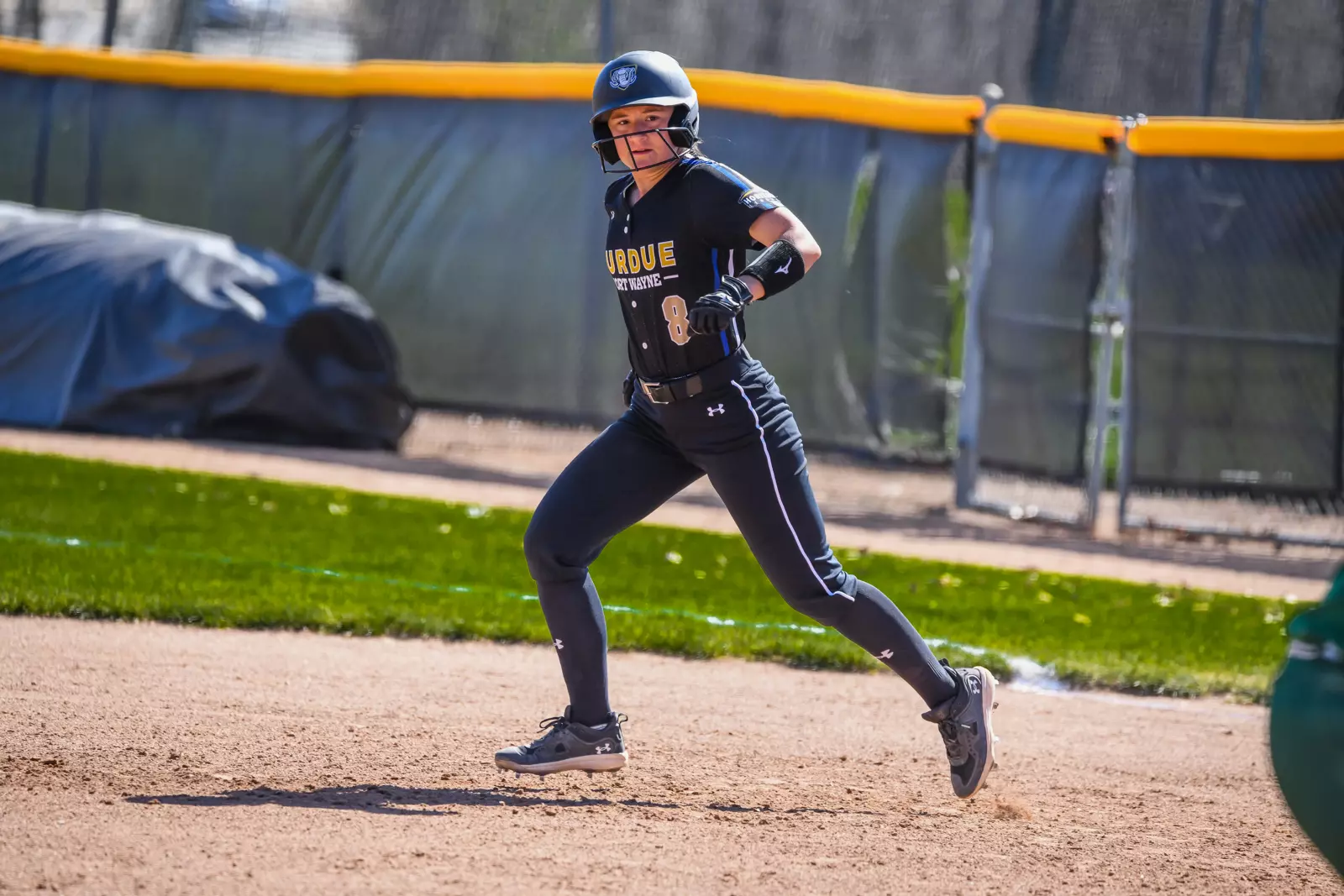 Mastodons vs. Vikings