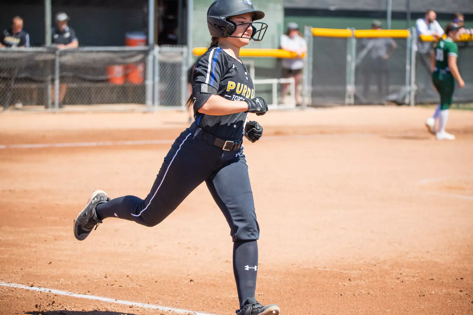 Mastodons vs. Vikings