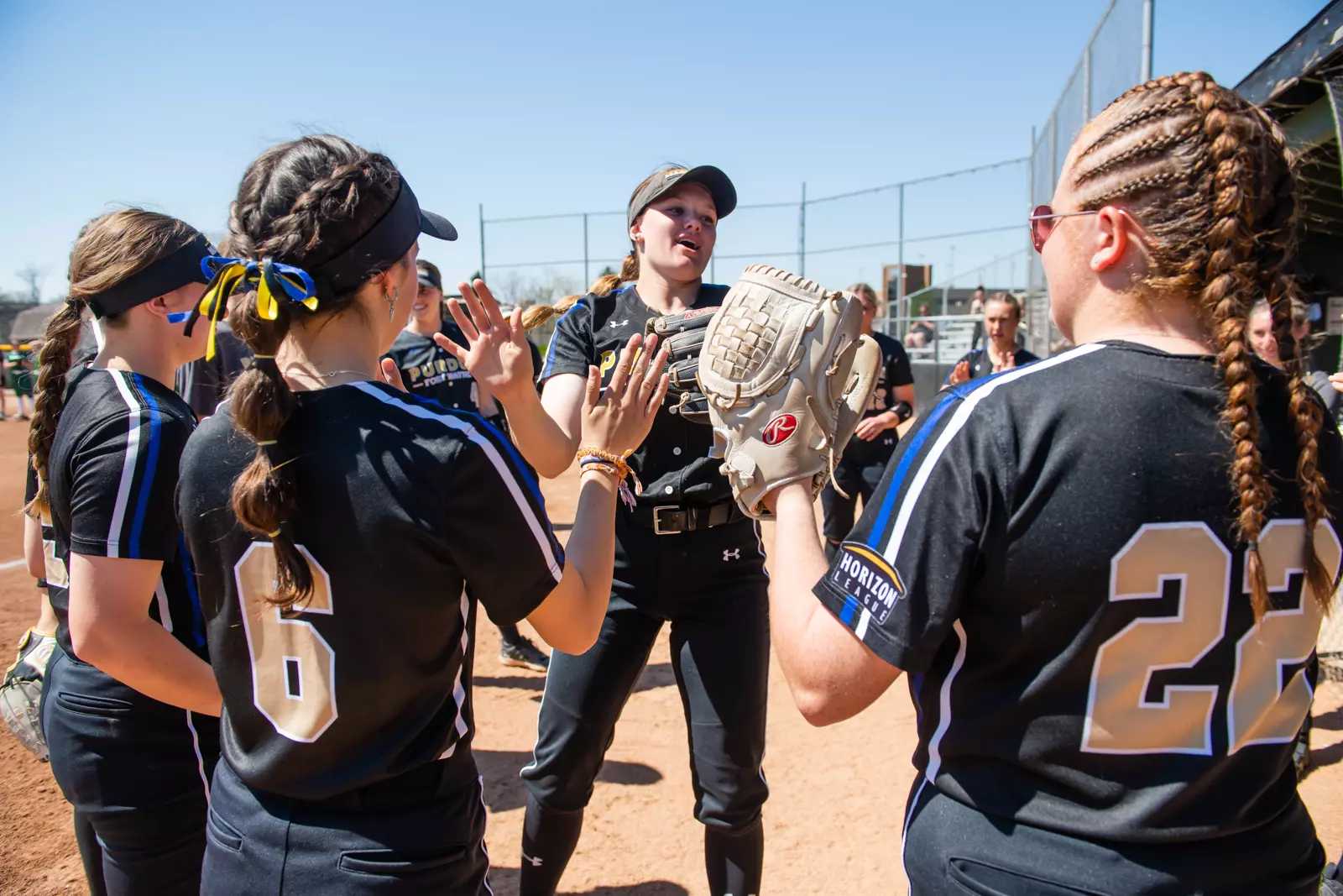 Mastodons vs. Vikings