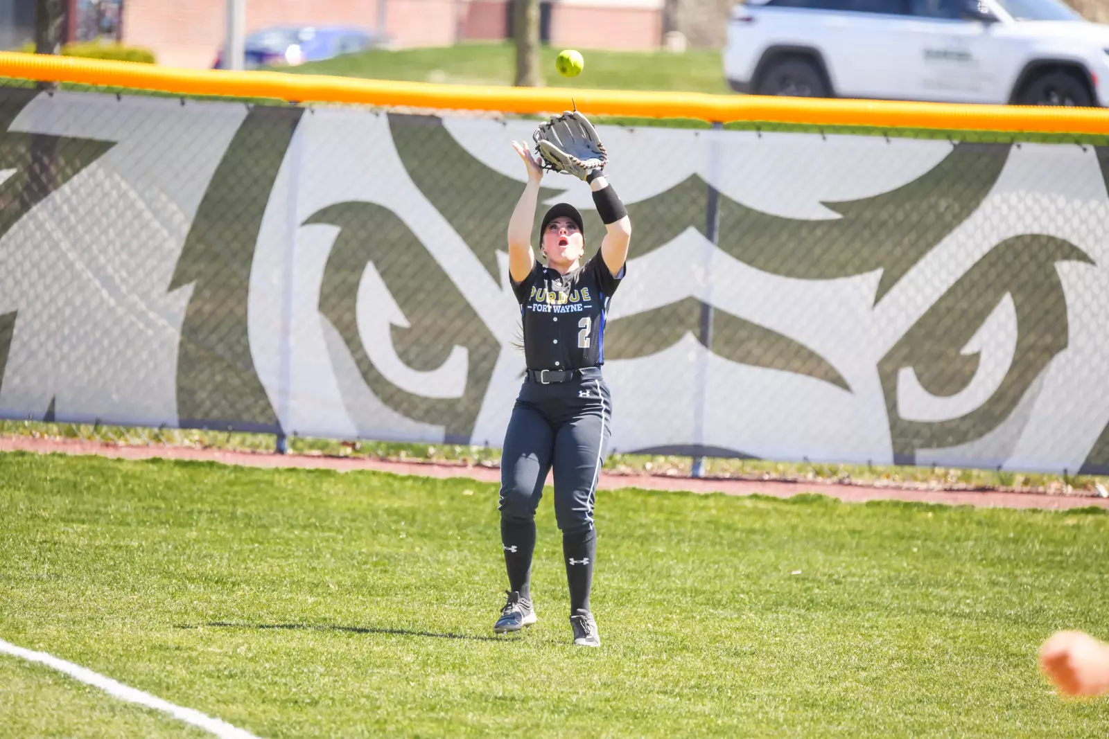 Mastodons vs. Vikings