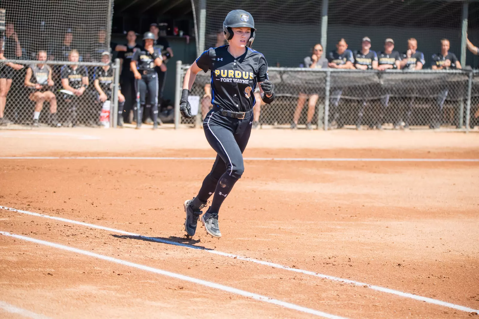 Mastodons vs. Vikings