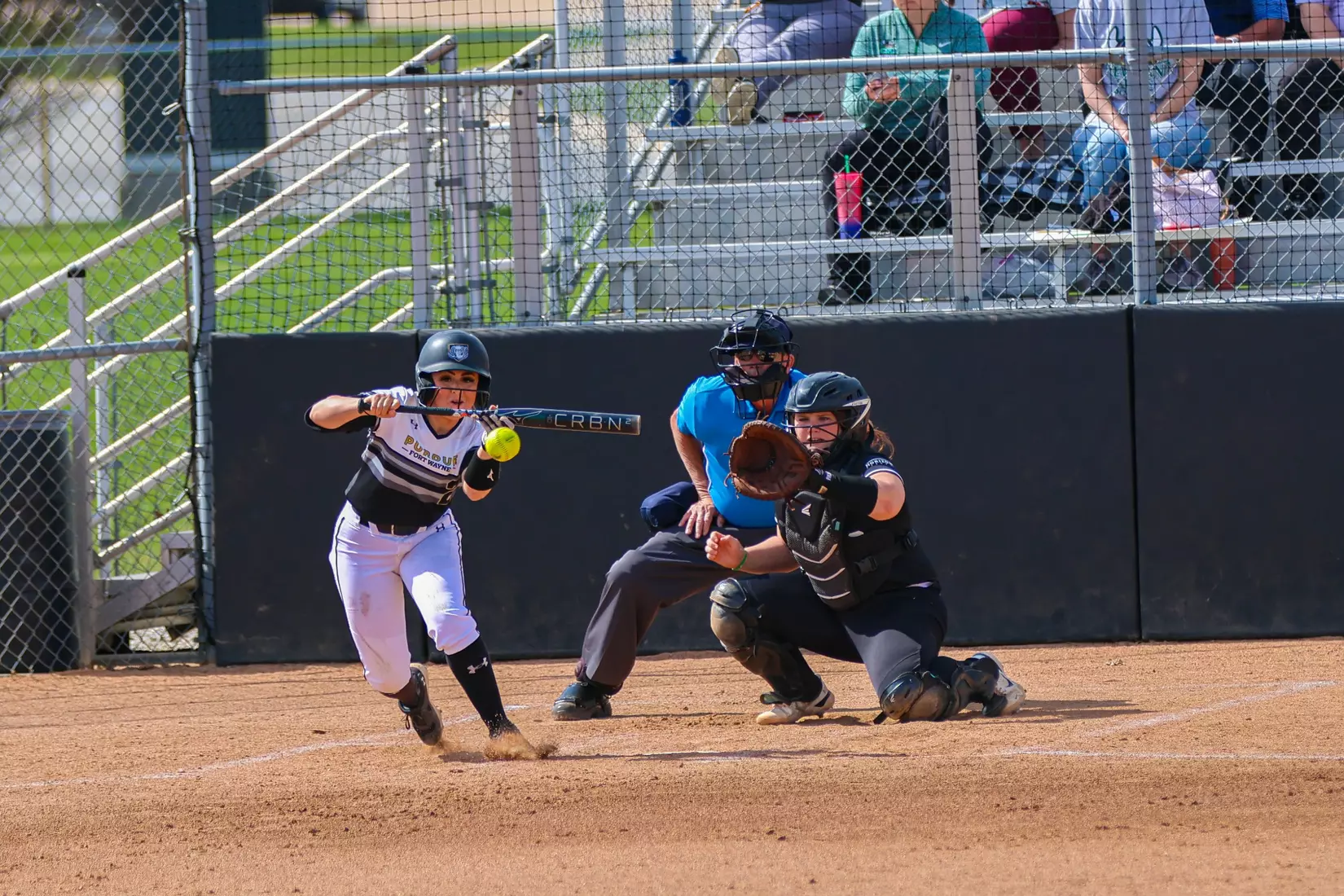 Mastodons vs. Vikings