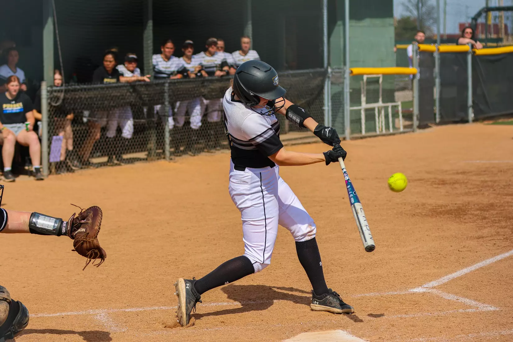 Mastodons vs. Vikings