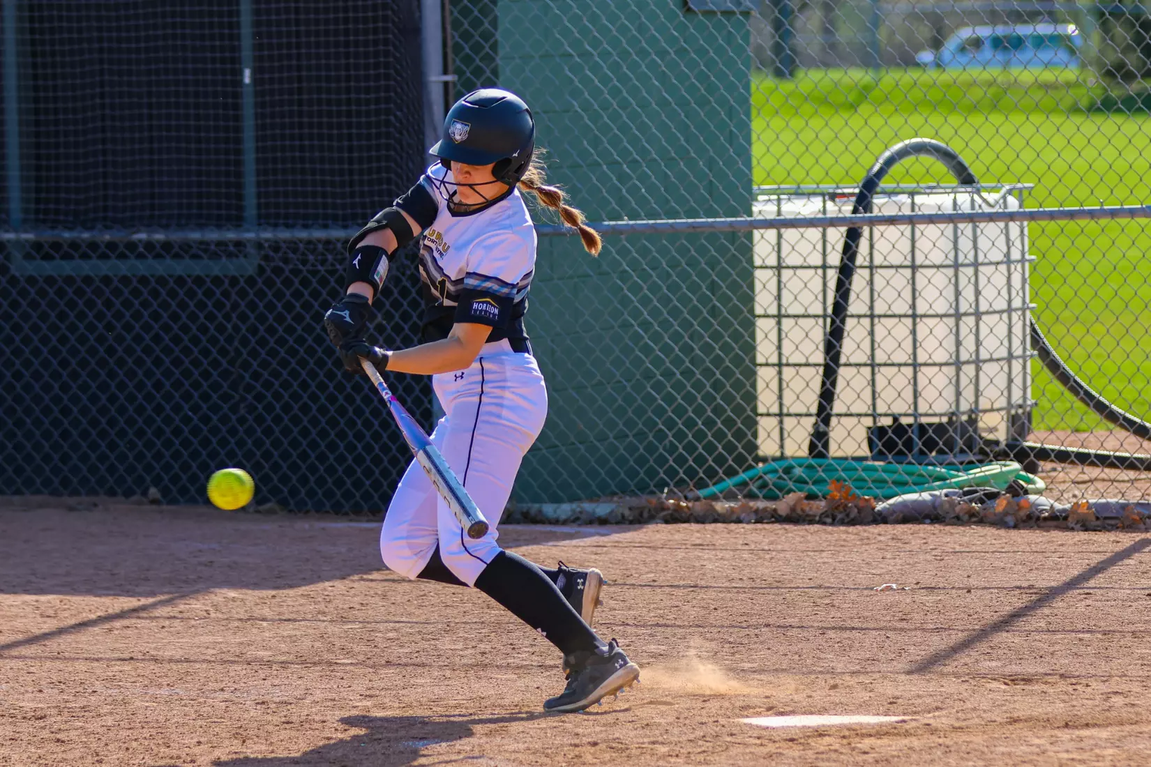 Mastodons vs. Vikings