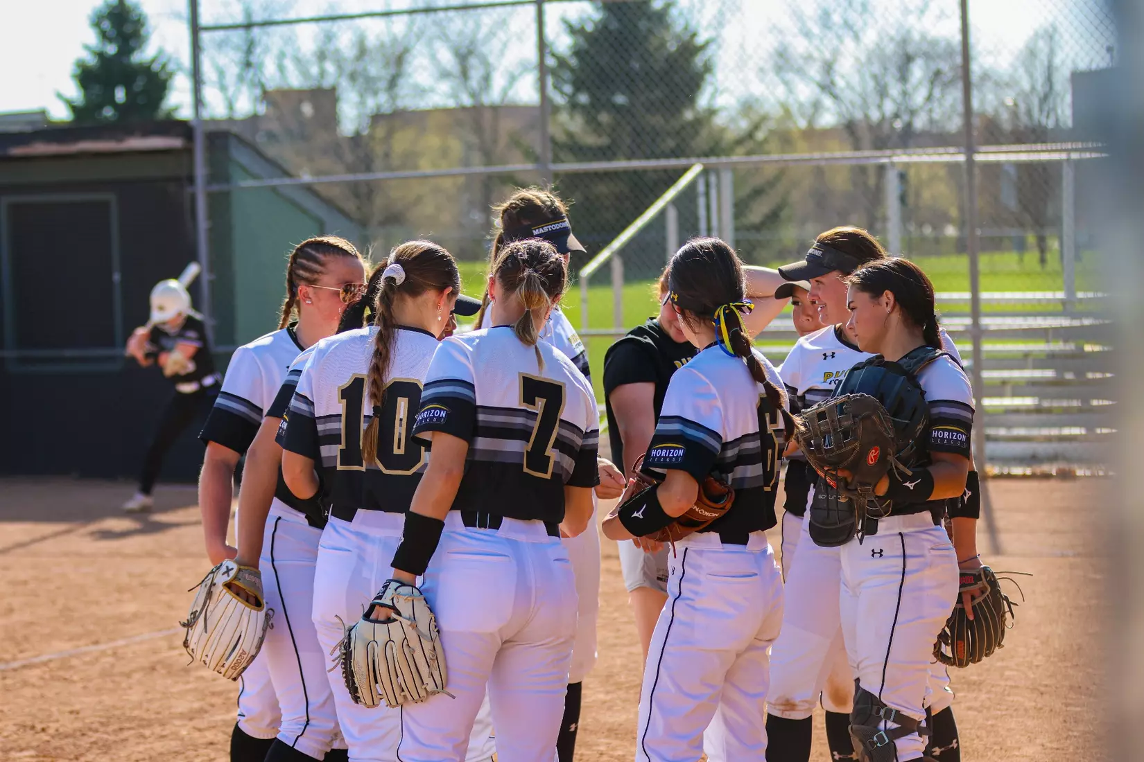 Mastodons vs. Vikings