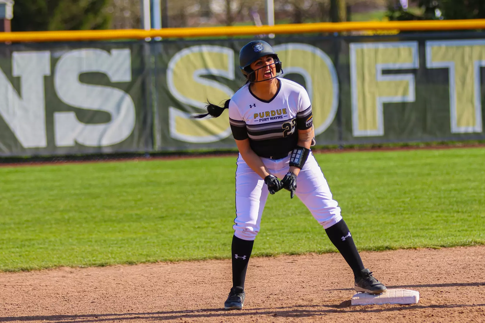 Mastodons vs. Vikings