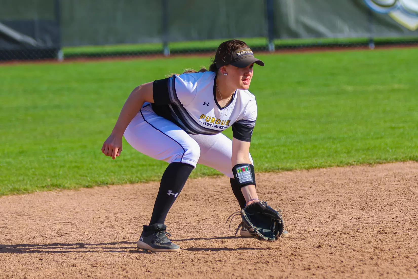 Mastodons vs. Vikings