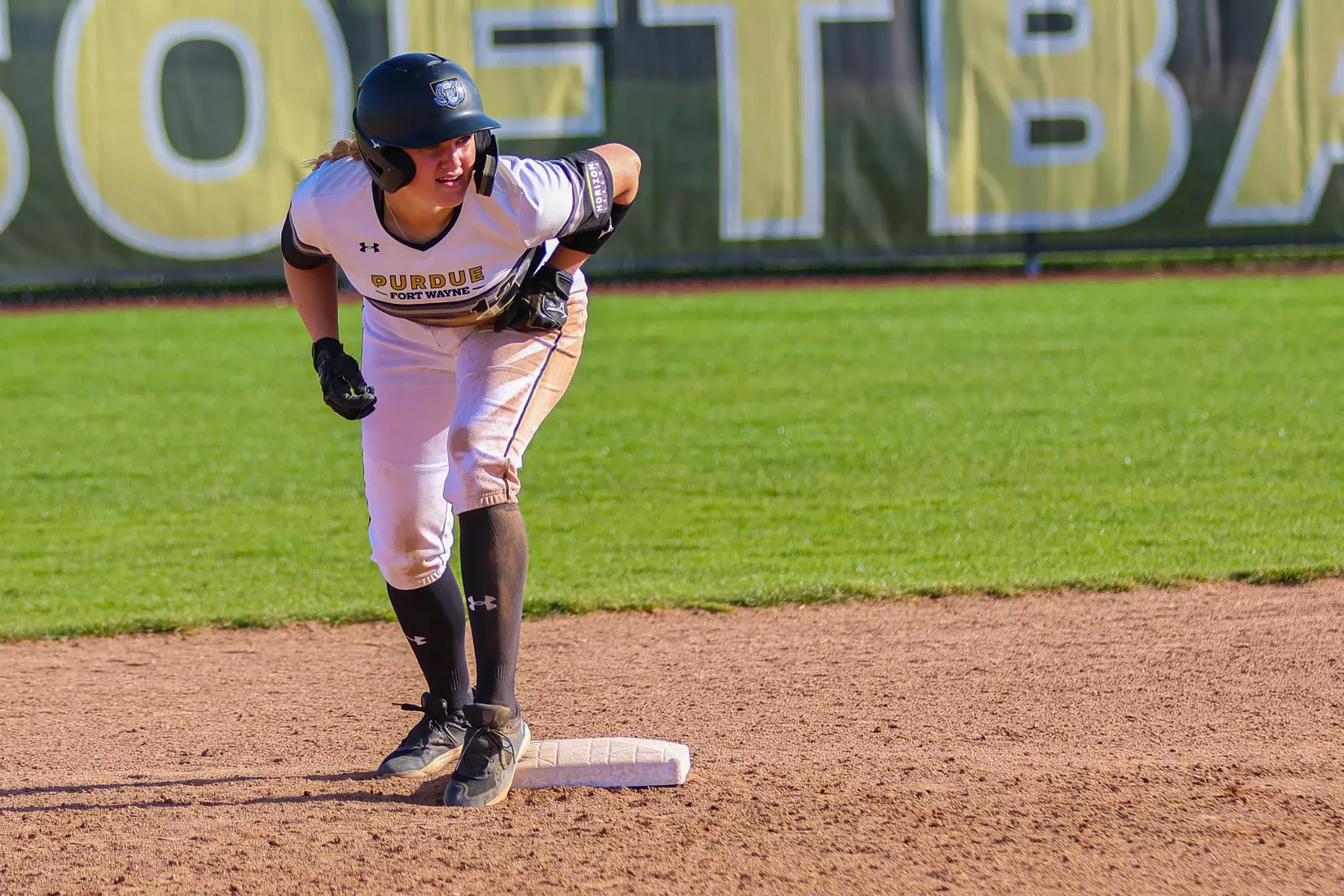 Mastodons vs. Vikings