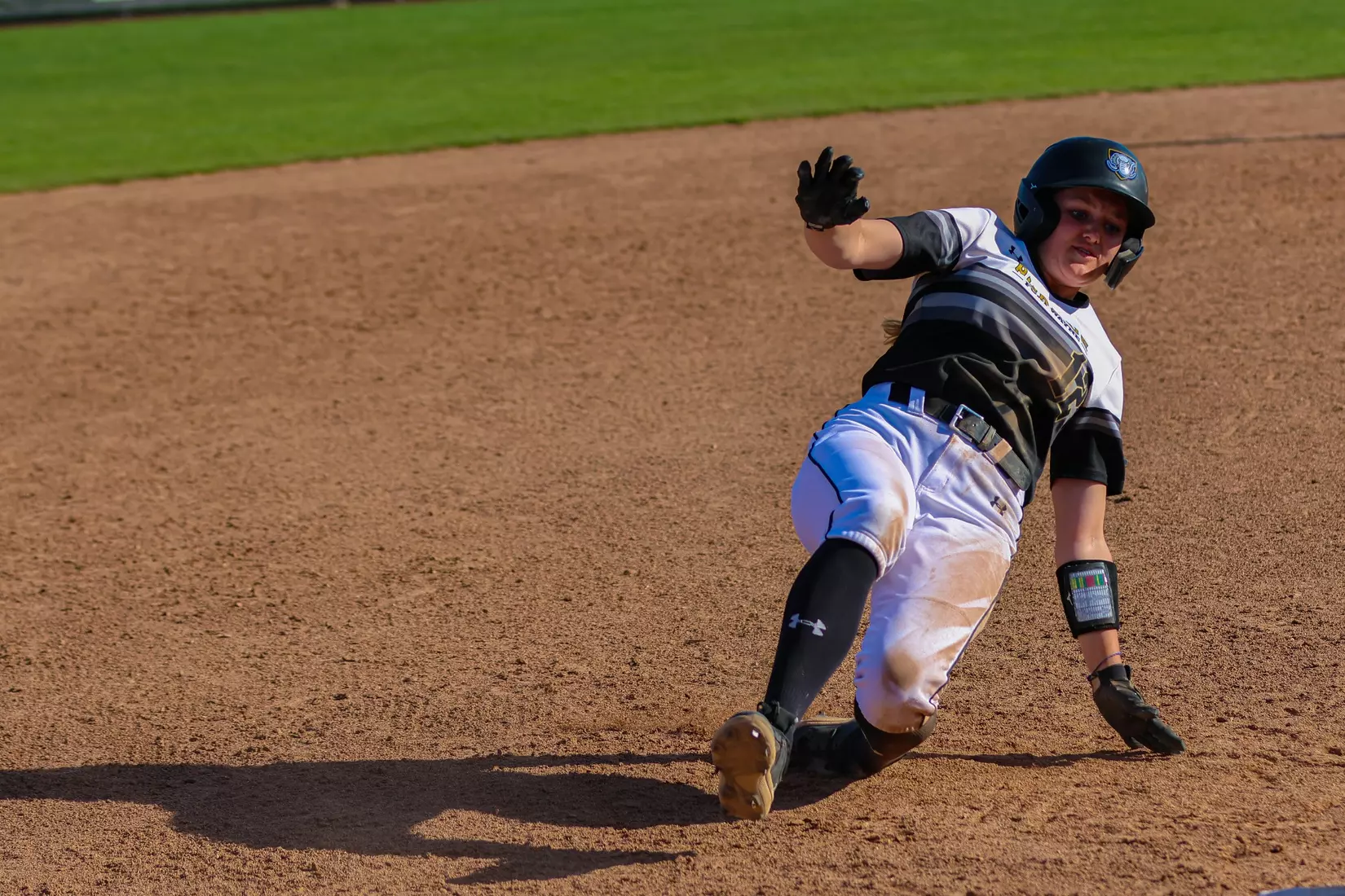 Mastodons vs. Vikings