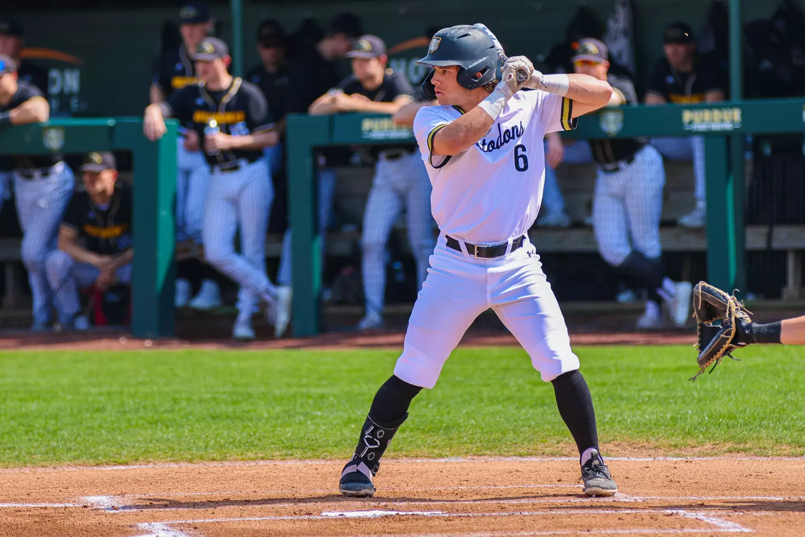 Baseball vs. Milwaukee