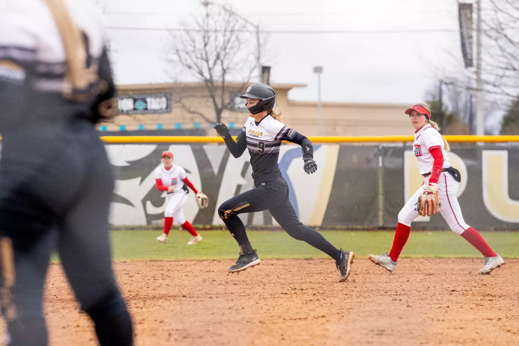 Mastodons vs. Detroit Mercy